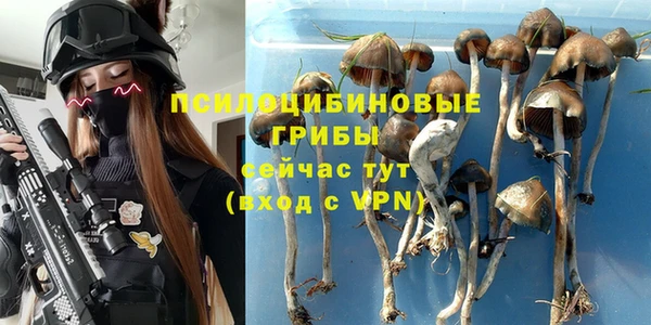PSILOCYBIN Арсеньев