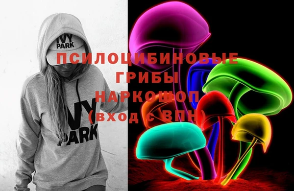 PSILOCYBIN Арсеньев