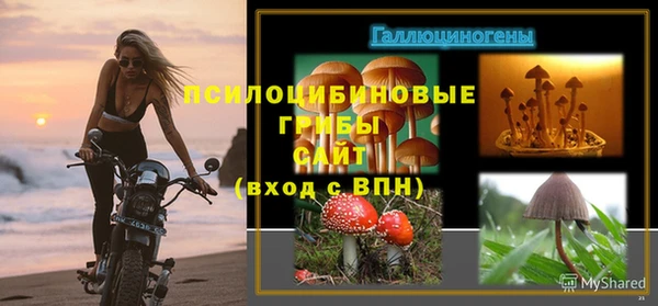 прущая мука Аркадак